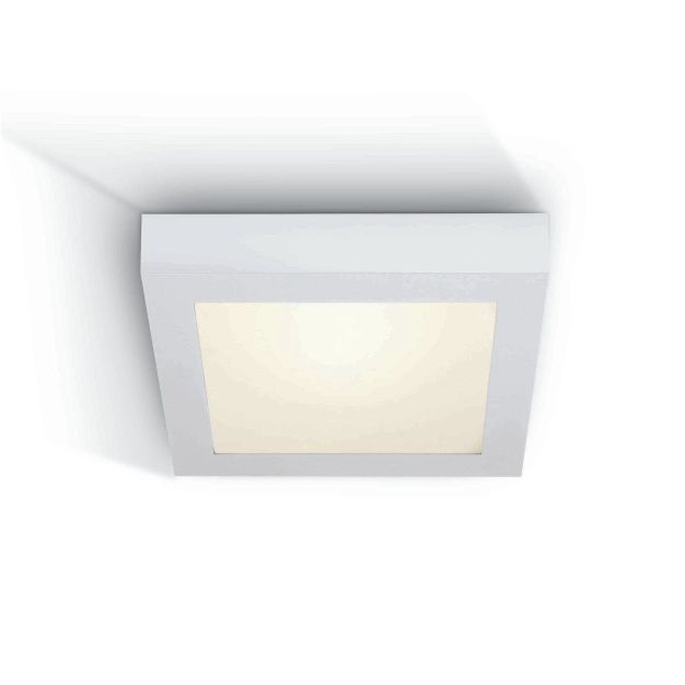 ONE Light LED Panel Plafo Square - plafonnier - 30 x 30 x 3,9 cm - 30W LED incl. - IP40 - blanc - couleur de lumière blanche