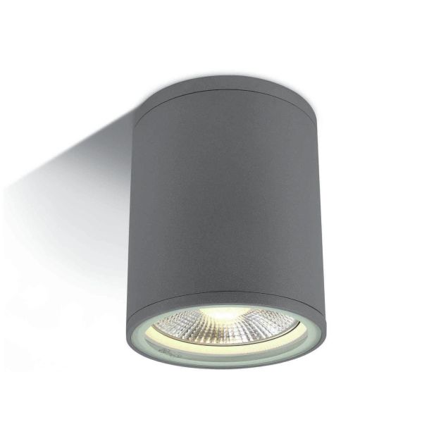 ONE Light PAR30 Outdoor Cylinders - plafonnier d'extérieur - Ø 10,6 x 13,4 cm - IP54 - gris