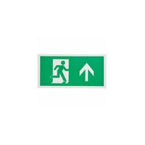 Integral LED Slim Line - indicateur de chemin de fuite - 39.4 x 19.5 x 2.6 cm - 1.5W LED incl. - Vert