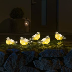 Konstsmide Lumières de Noël - oiseaux - 10 x 16 x 500 cm - IP44 - transparent