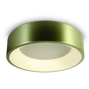 ONE Light LED Décoratif - plafonnier - Ø 45,5 x 13,2 cm - 32W LED incl. - laiton brossé