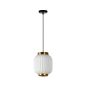 Lucide Gosse - lampe suspendue - Ø 19,5 x 170 cm - blanc